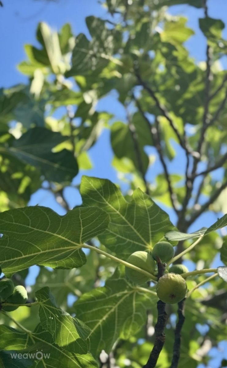 Wetter Photos Slowenien. Wettervorhersagen mit schönen Fotos von Anamarija