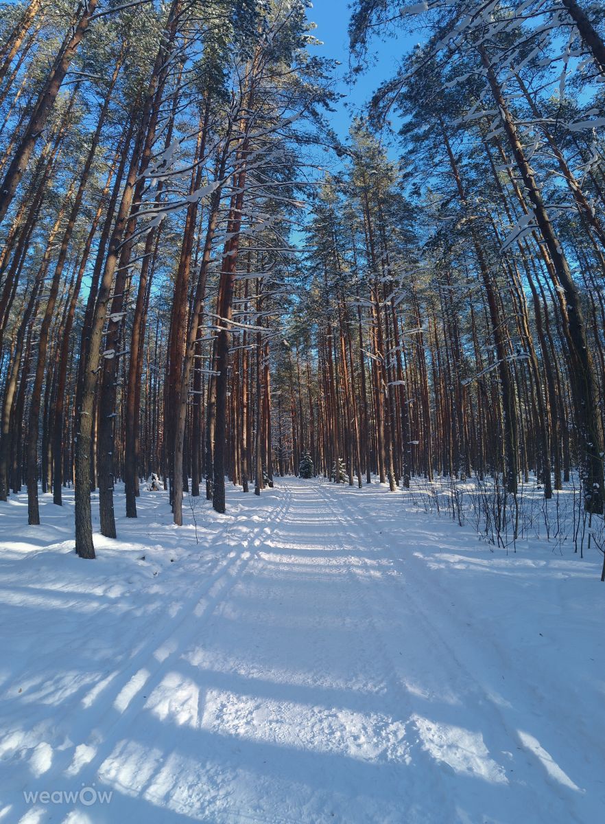 Dibunyの天気写真. schmolderの美しい写真による天気予報
