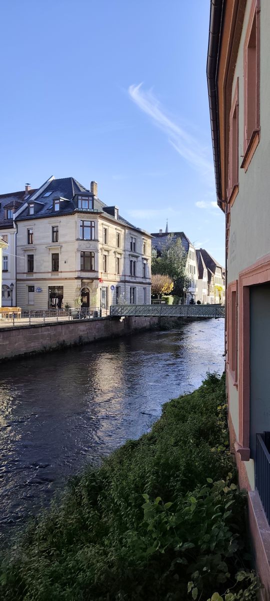 Photographer Tercis, Weather Photos in Ettlingen - Weawow