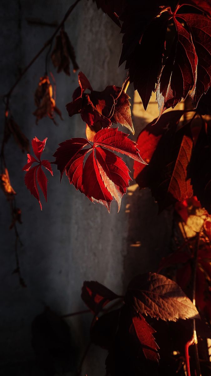 Weather Photos in Kharkivs’ka Oblast’. Weather forecasts with beautiful photos by Михаил Гавриков