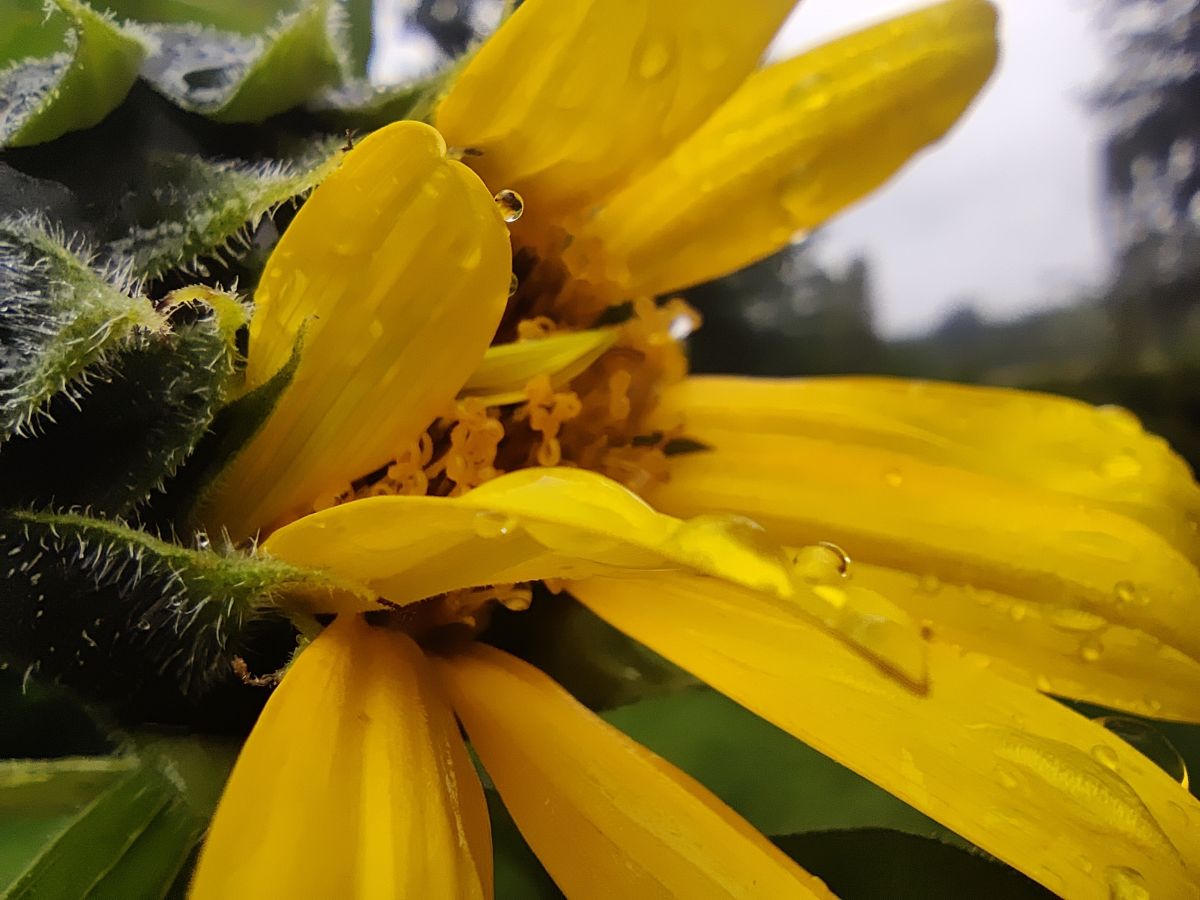 Fotografos Zorrra, Fotos do tempo em Kladow - Weawow