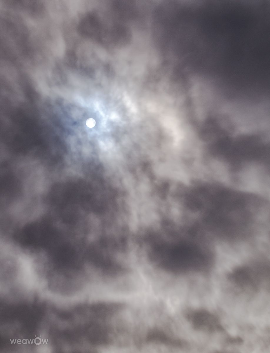 Fotos do tempo em Mikhnevo. Previsões do tempo com lindas fotos de Alex_M_Pakarev