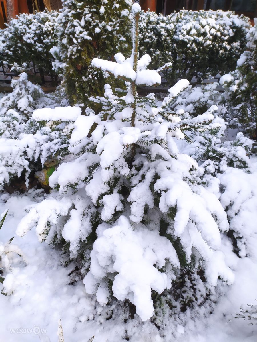 Fotos do tempo em Mykolaiv. Previsões do tempo com lindas fotos de Elena Chayka