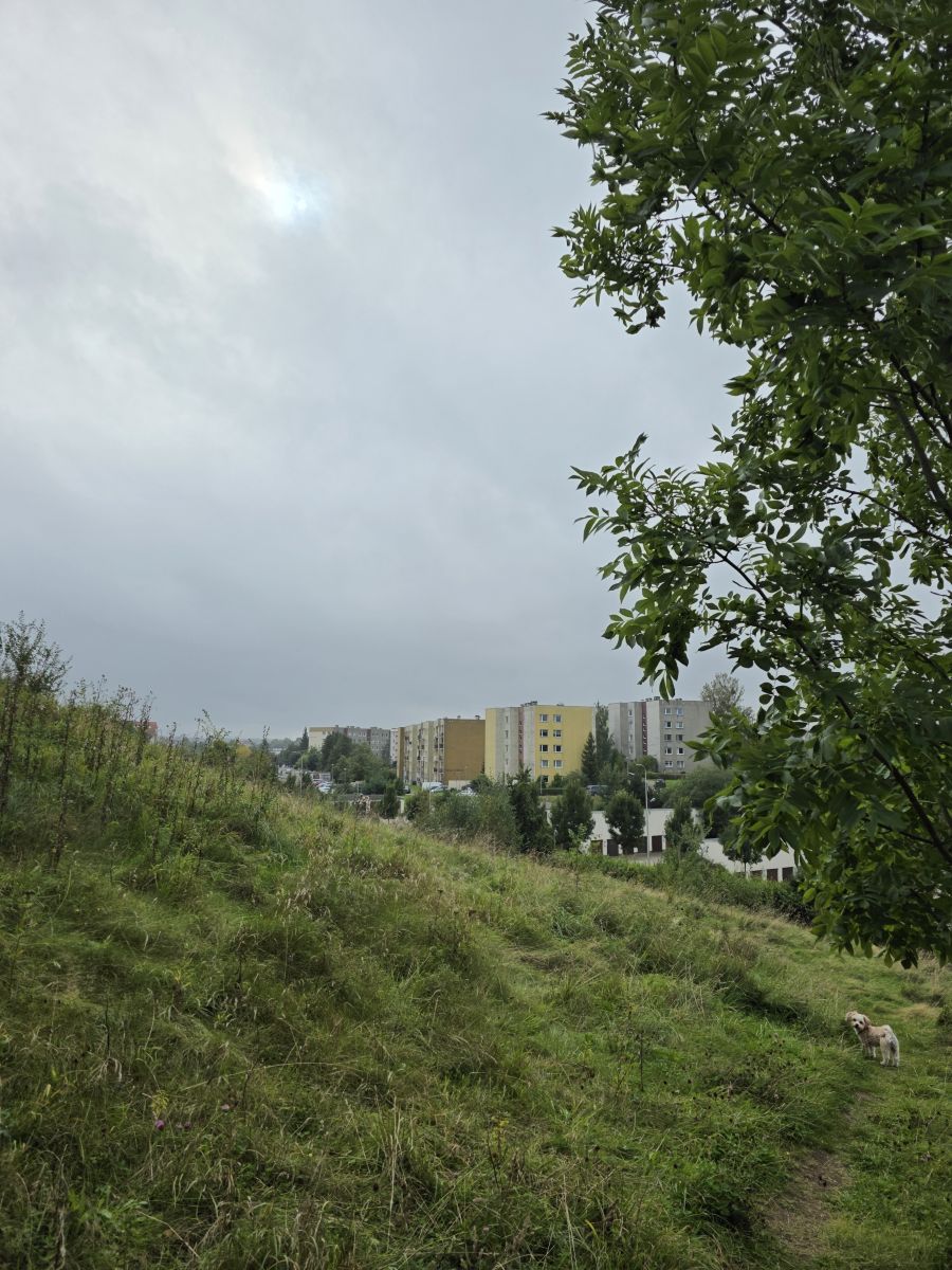 Karwinyの天気写真. xPrzybyLxの美しい写真による天気予報