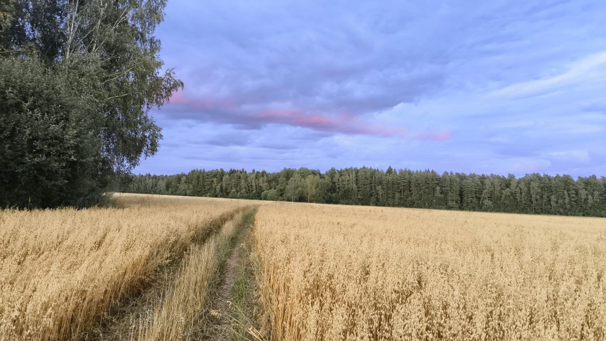 Hình ảnh Thời tiết ở Kaluga Oblast. Dự báo thời tiết với những bức ảnh đẹp của Aleksei