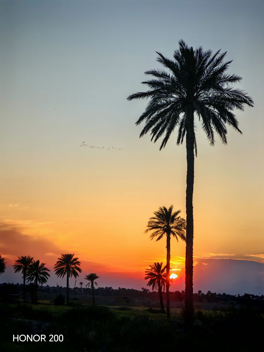 Weather forecasts with beautiful photos by فؤاد محمد محمود