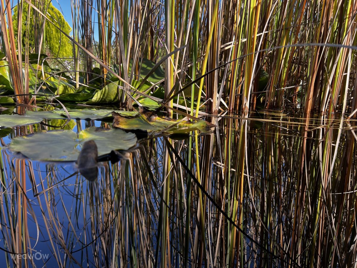 Fotos do tempo em Chişinău. Previsões do tempo com lindas fotos de InnaMoon