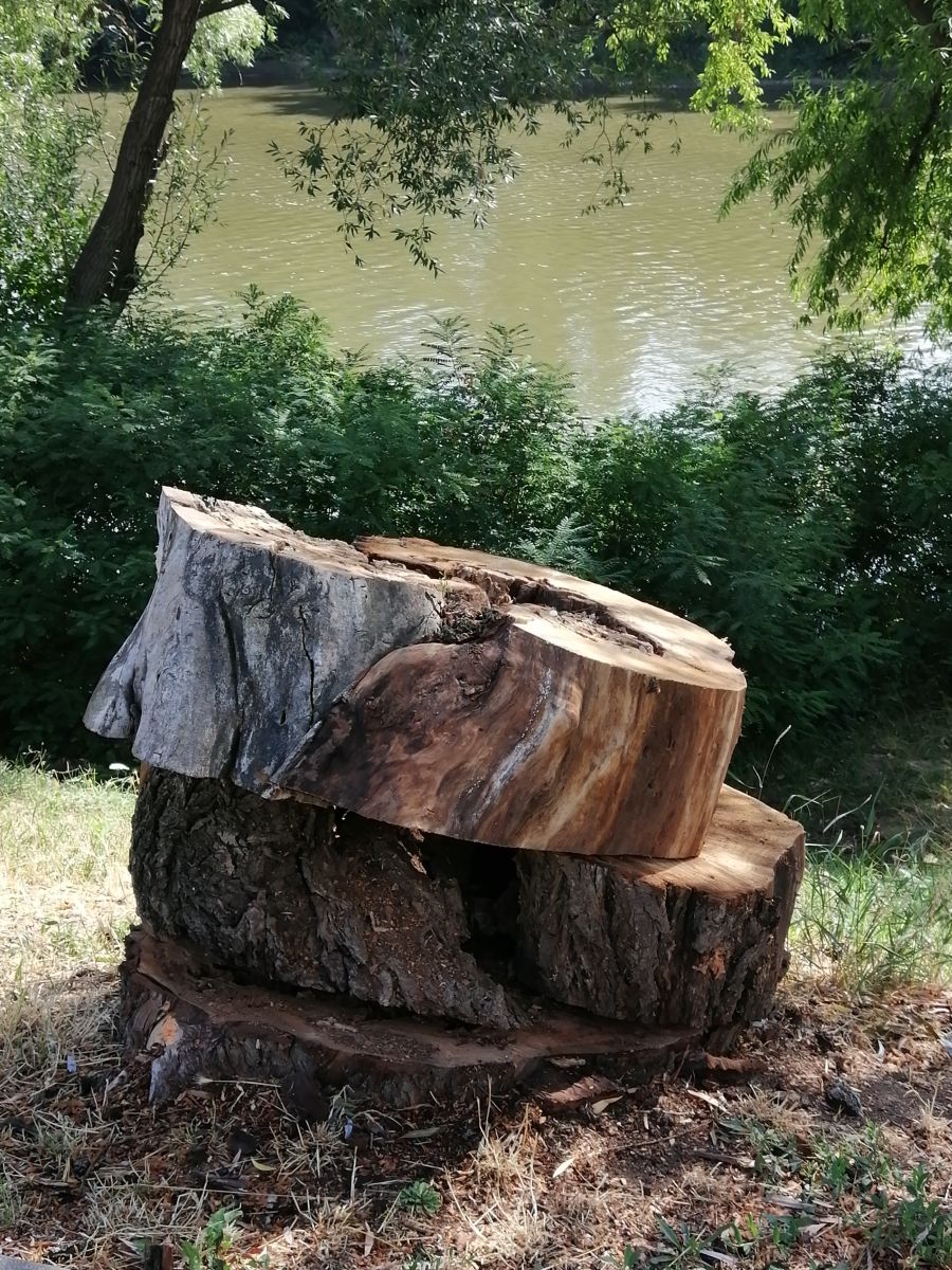 Fotos do tempo em Arad. Previsões do tempo com lindas fotos de Augustin