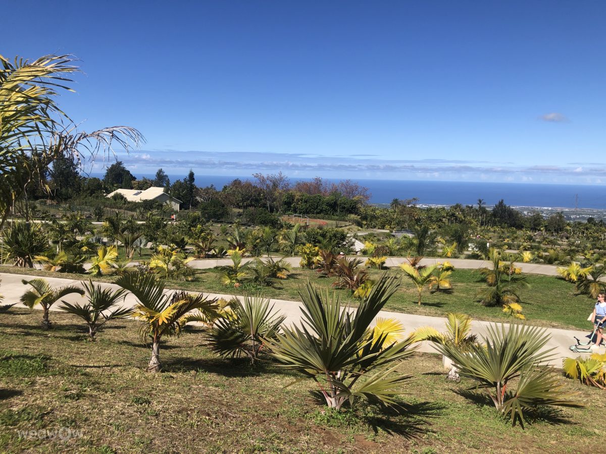 Weather Photos in Réunion. Weather forecasts with beautiful photos by Duplexis Robert