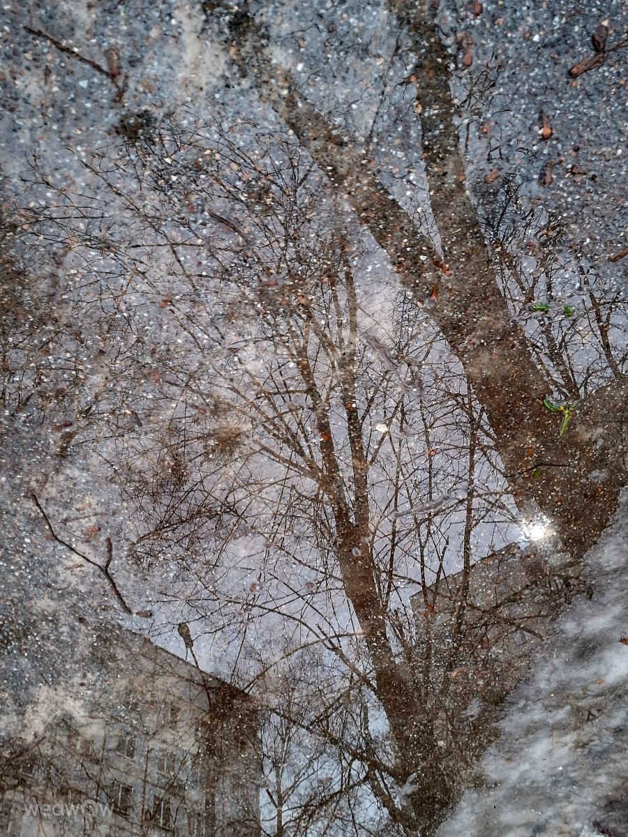 Photographer Iryna, Weather Photos in Kharkiv - Weawow