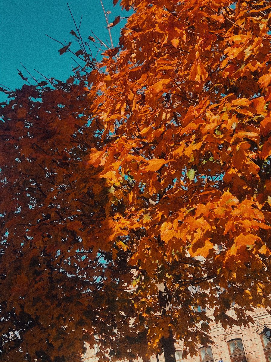 Fotos do tempo em Ucrânia. Previsões do tempo com lindas fotos de Synieok