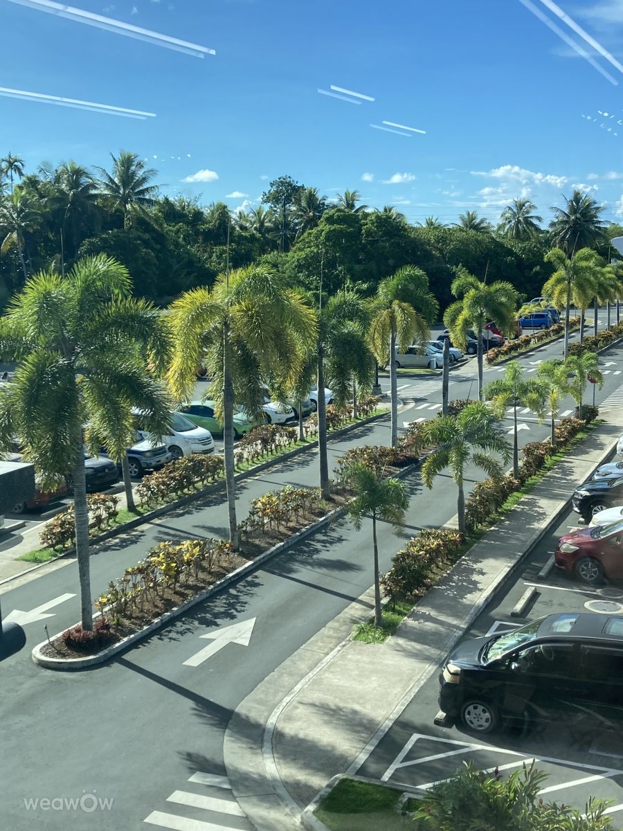 Weather Photos in Palau. Weather forecasts with beautiful photos by Belias