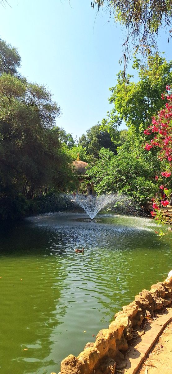 Nhiếp ảnh gia Geo23, Hình ảnh Thời tiết ở Sevilla - Weawow