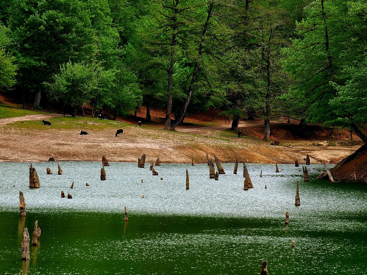 Weather Photos in Yazd Province. Weather forecasts with beautiful photos by farhad545