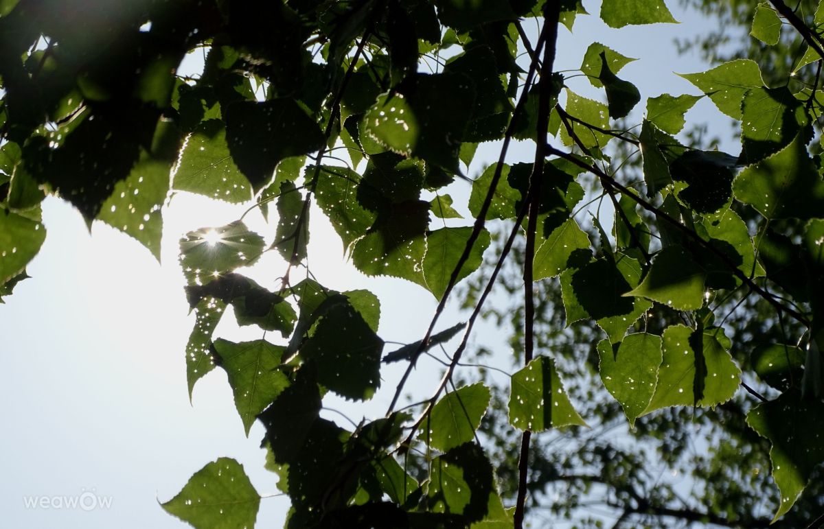 Fotografos Vasek325, Fotos do tempo em Praha 12 - Weawow