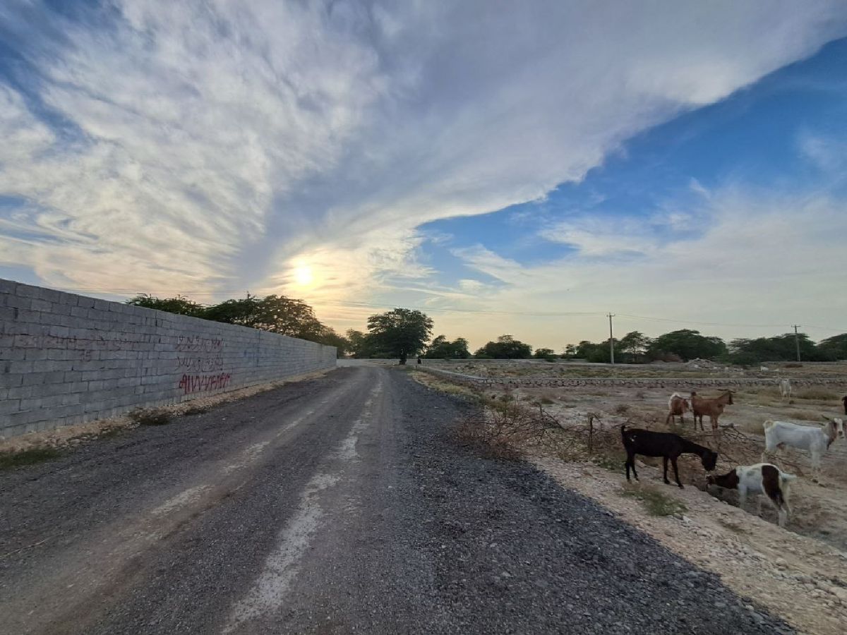 Wetter Photos Buschehr. Wettervorhersagen mit schönen Fotos von Viana