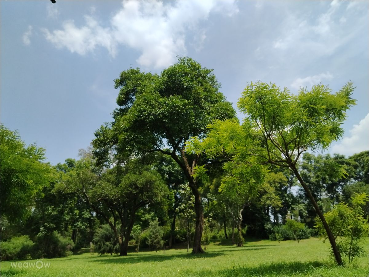 Wetter Photos Mexiko. Wettervorhersagen mit schönen Fotos von Eriq Pheres Loshola