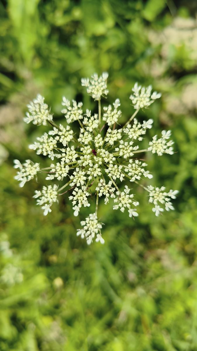 Fotos sobre el clima en Prahova. Pronósticos del tiempo con hermosas fotos de YanBog
