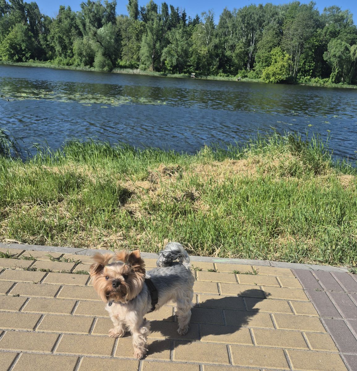 Weather Photos in Bila Tserkva. Weather forecasts with beautiful photos by Маргарита Котенко