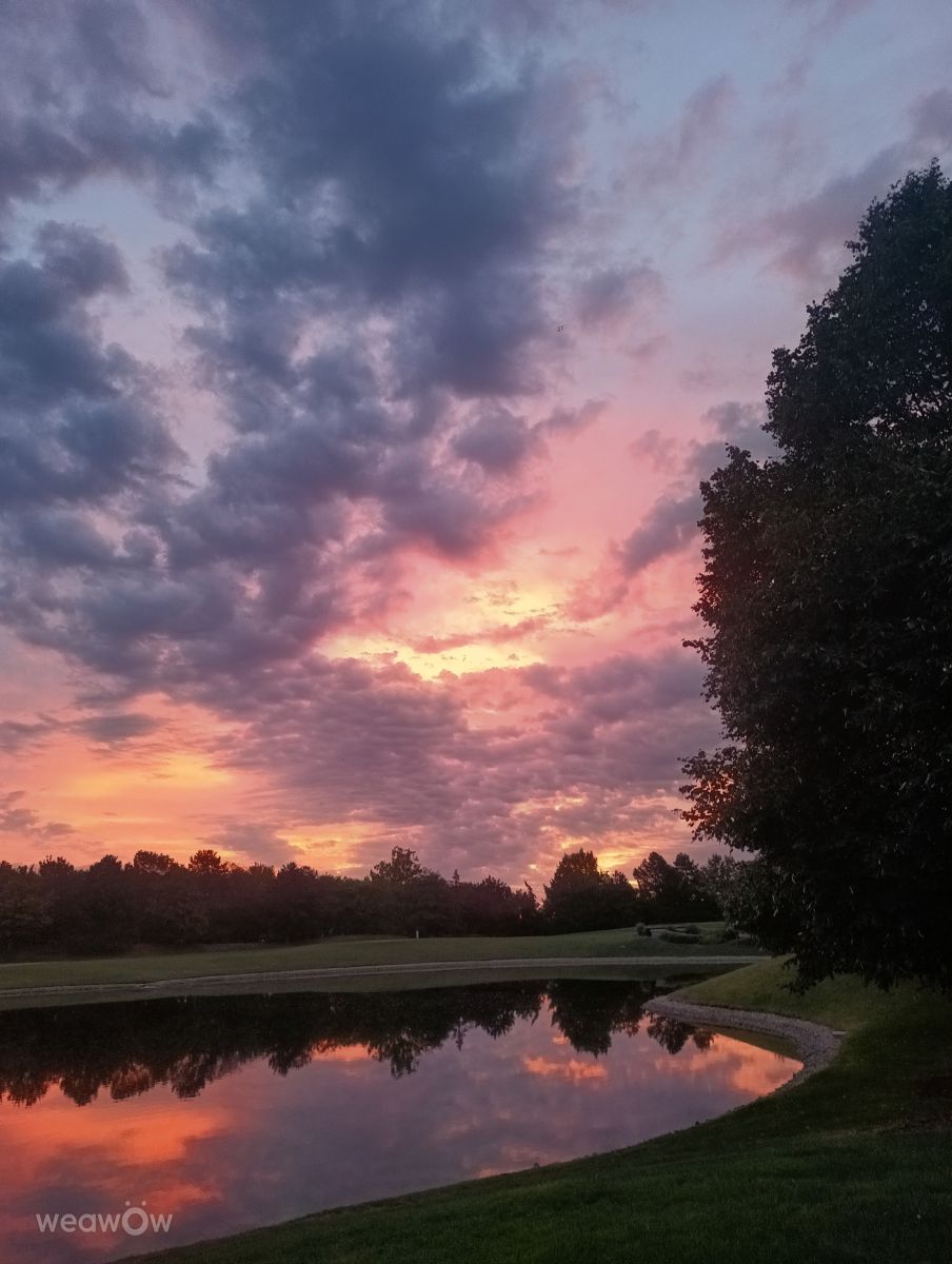 Photographer Kripo, Weather Photos in Oberwaltersdorf - Weawow
