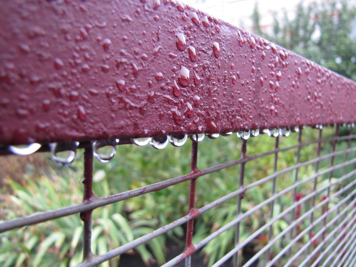 Фотографии Погоды в Белгородская Область. Прогнозы погоды с чудесными фотографиями, сделанными Sviatoslav