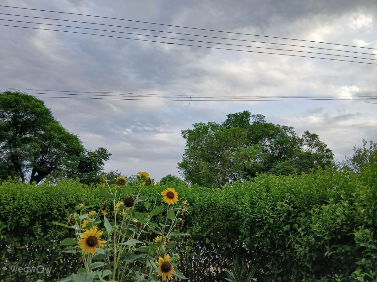 Weather Photos in Punjab. Weather forecasts with beautiful photos by Sardar Pervez Akhtar