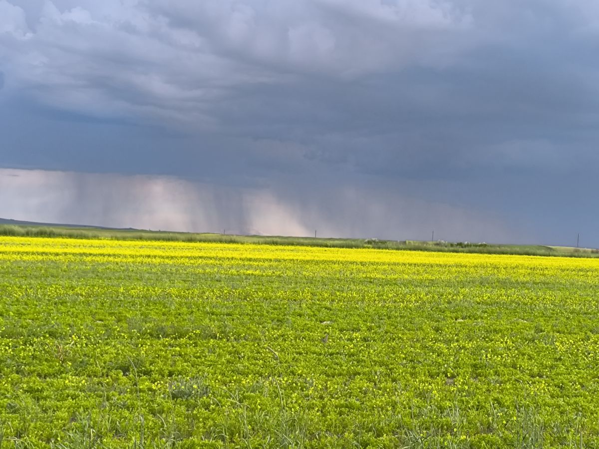 Weather forecasts with beautiful photos by Cankat