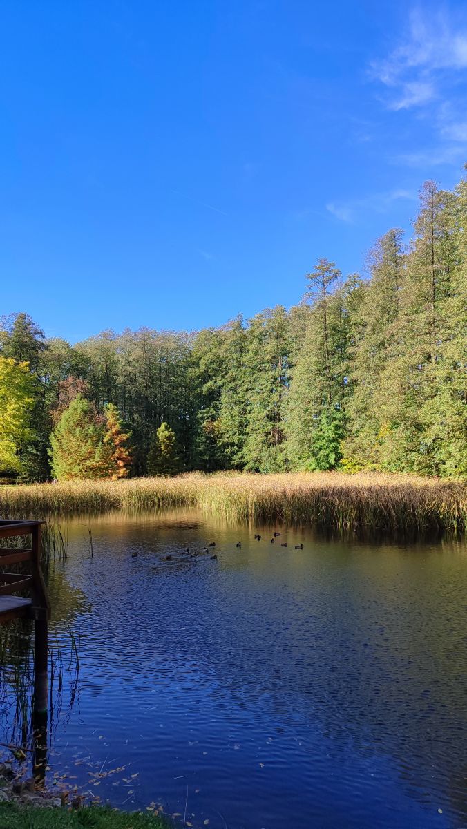 Photographer Romek58, Weather Photos in Wieluń - Weawow