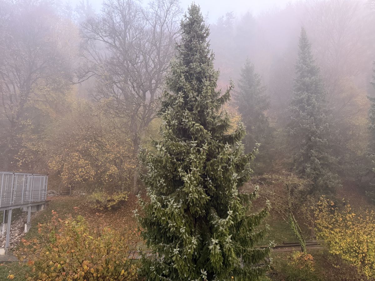 Photographe SwissEloi, Photos météo à Delémont - Weawow
