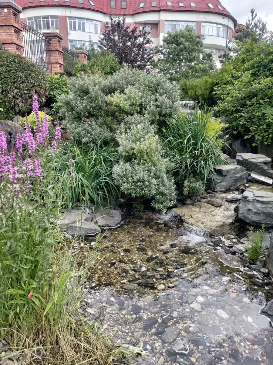 Fotos do tempo em Ekaterinburg. Previsões do tempo com lindas fotos de Lara357