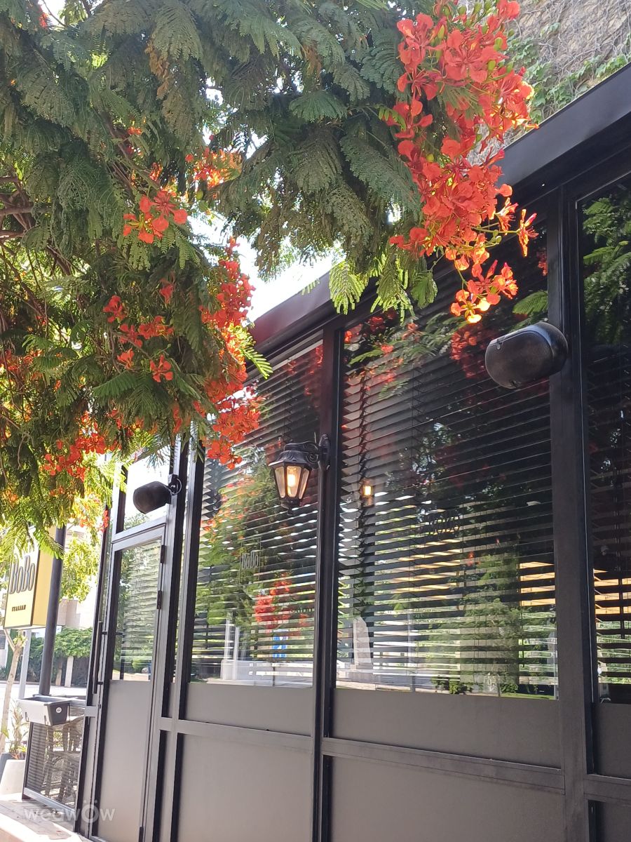 Photos météo à Holon. Prévisions météo avec de superbes photos de Zaza