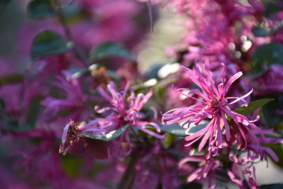 Photographer 1stEyeFocused, Weather Photos in Branford - Weawow