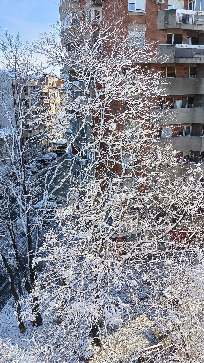Fotos sobre el clima en Belgrado. Pronósticos del tiempo con hermosas fotos de Neblak