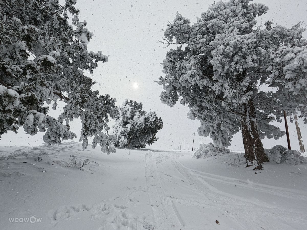 Weather Photos in Ardabīl. Weather forecasts with beautiful photos by SAEED_YAS2007