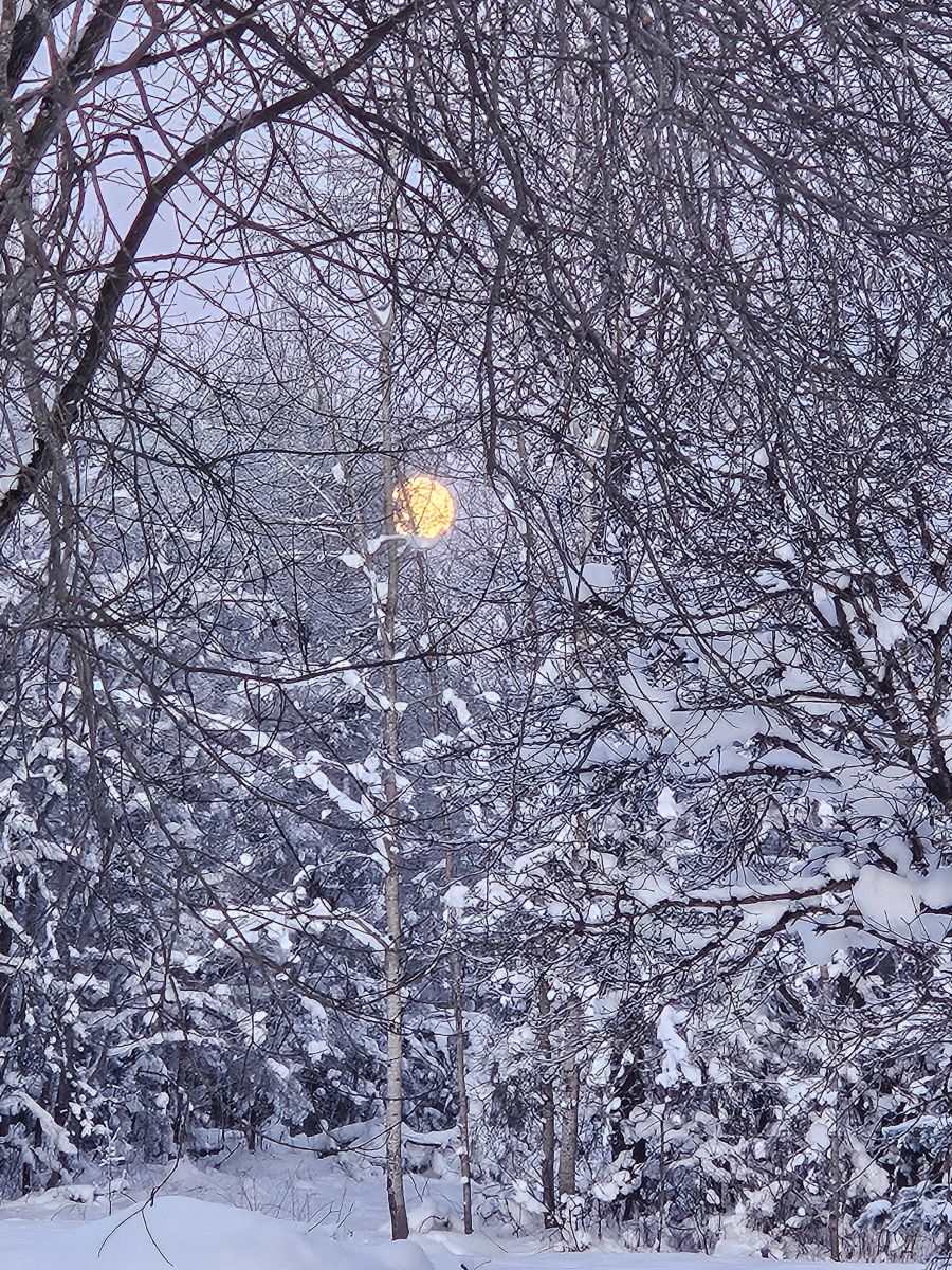 Fotos do tempo em Tapa. Previsões do tempo com lindas fotos de KatreKal