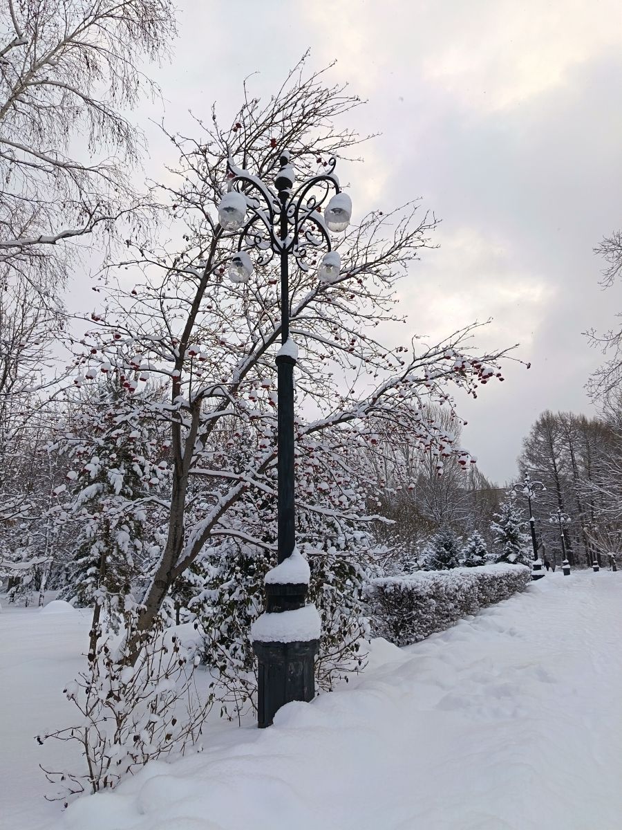 Fotos sobre el clima en Kazajstán. Pronósticos del tiempo con hermosas fotos de ЮлЯШа