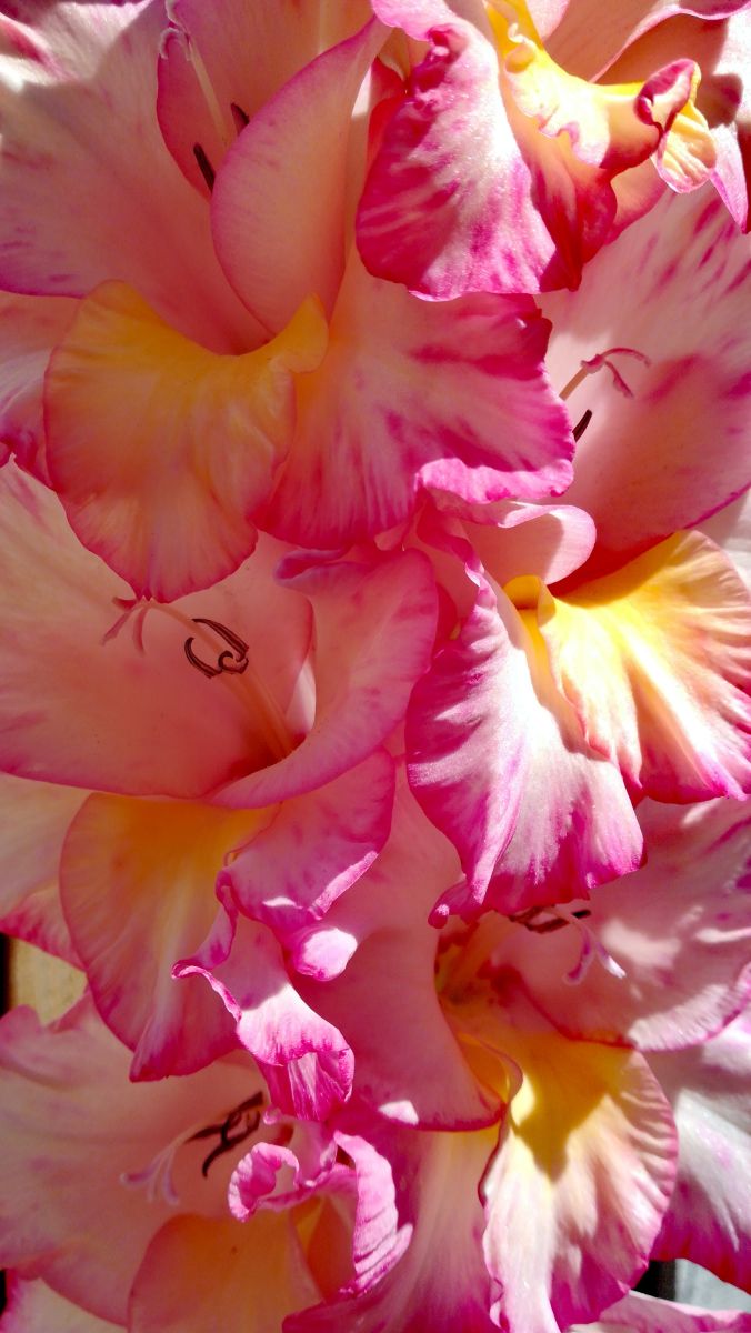 Weather Photos in United Kingdom. Weather forecasts with beautiful photos by Maia_Alexandrova