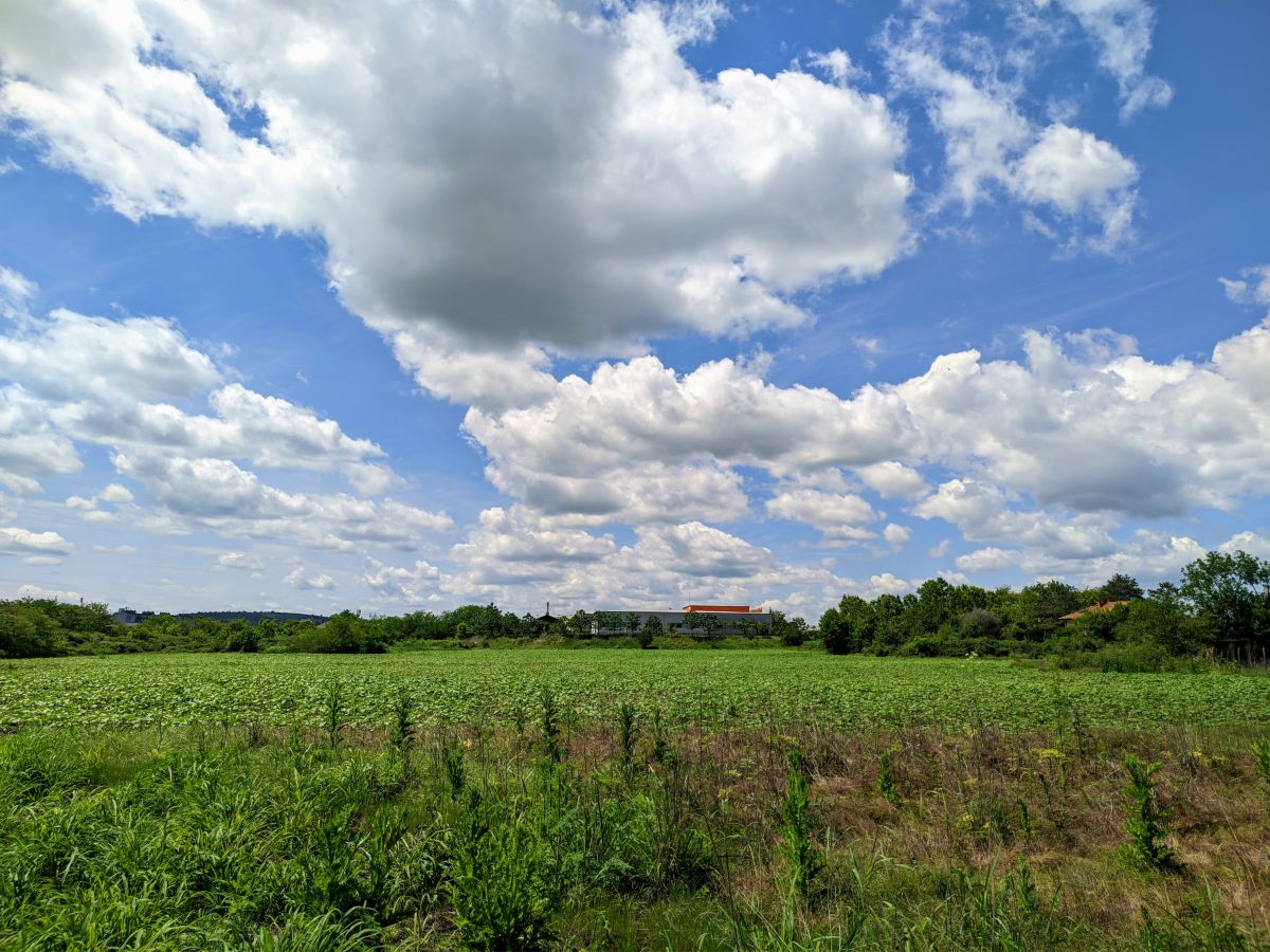 Harmanliの天気写真. Айдън Ахмедовの美しい写真による天気予報
