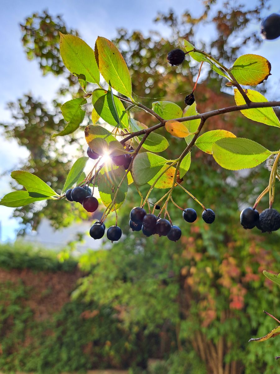 Weather Photos in Engelskirchen. Weather forecasts with beautiful photos by NikolausMinas