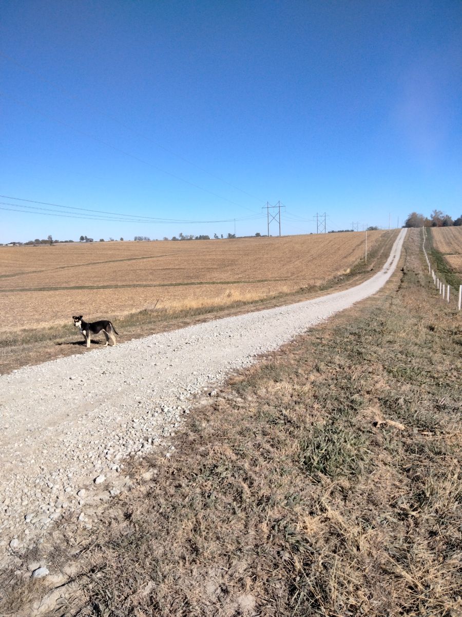 Photographer Kate72, Weather Photos in Parnell - Weawow