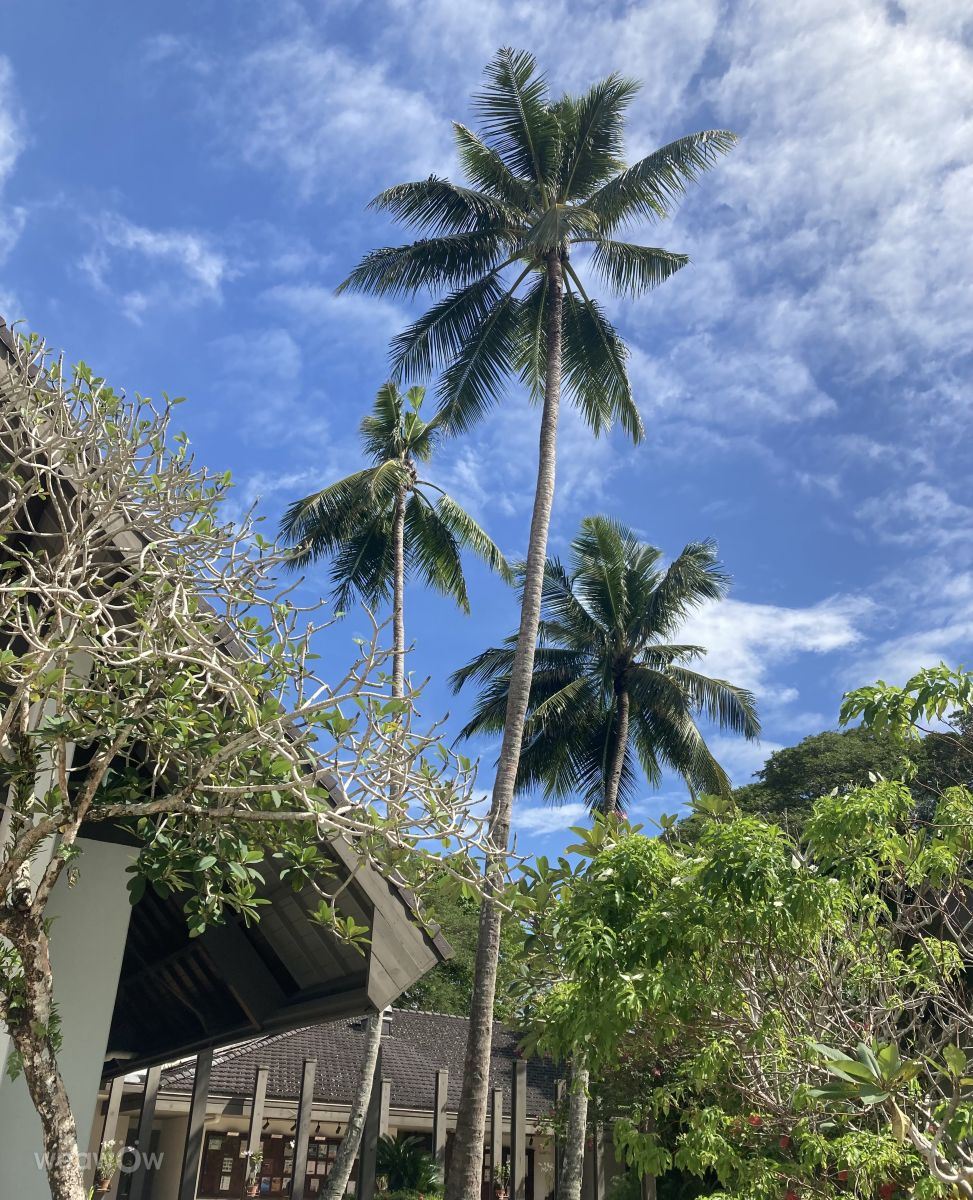 Weather Photos in Palau. Weather forecasts with beautiful photos by Belias