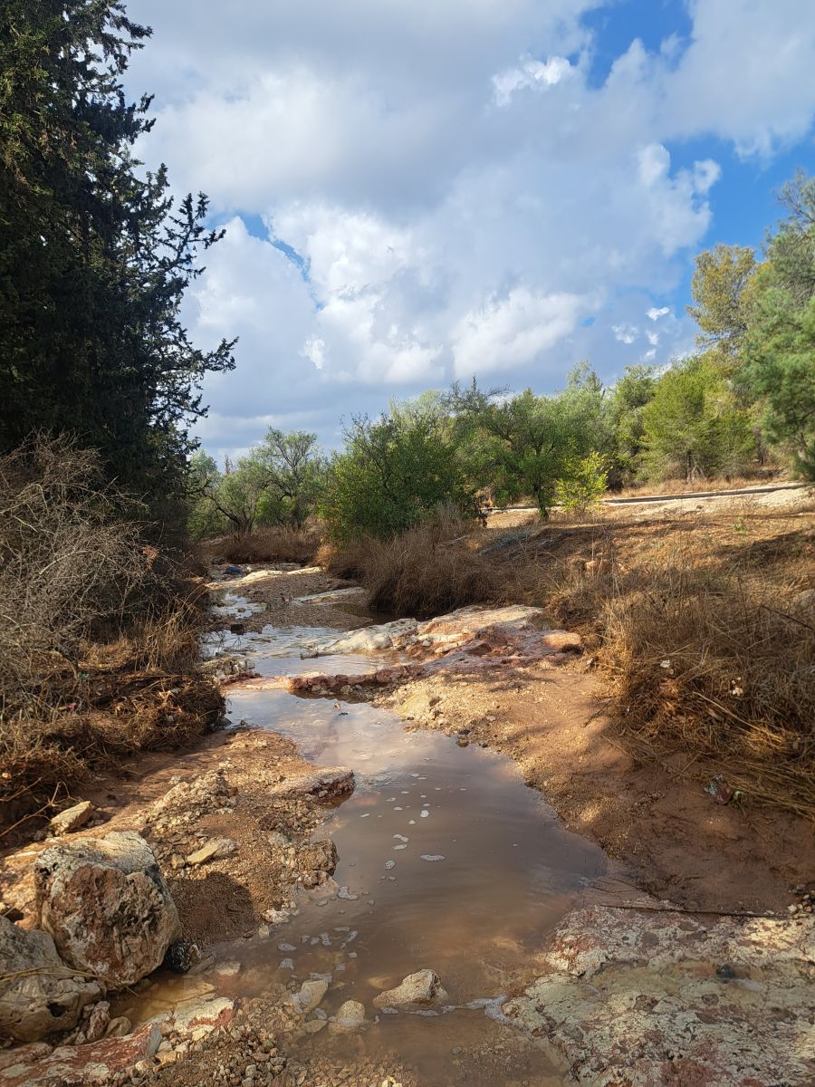 Photos météo à Israël. Prévisions météo avec de superbes photos de Sviatoslav