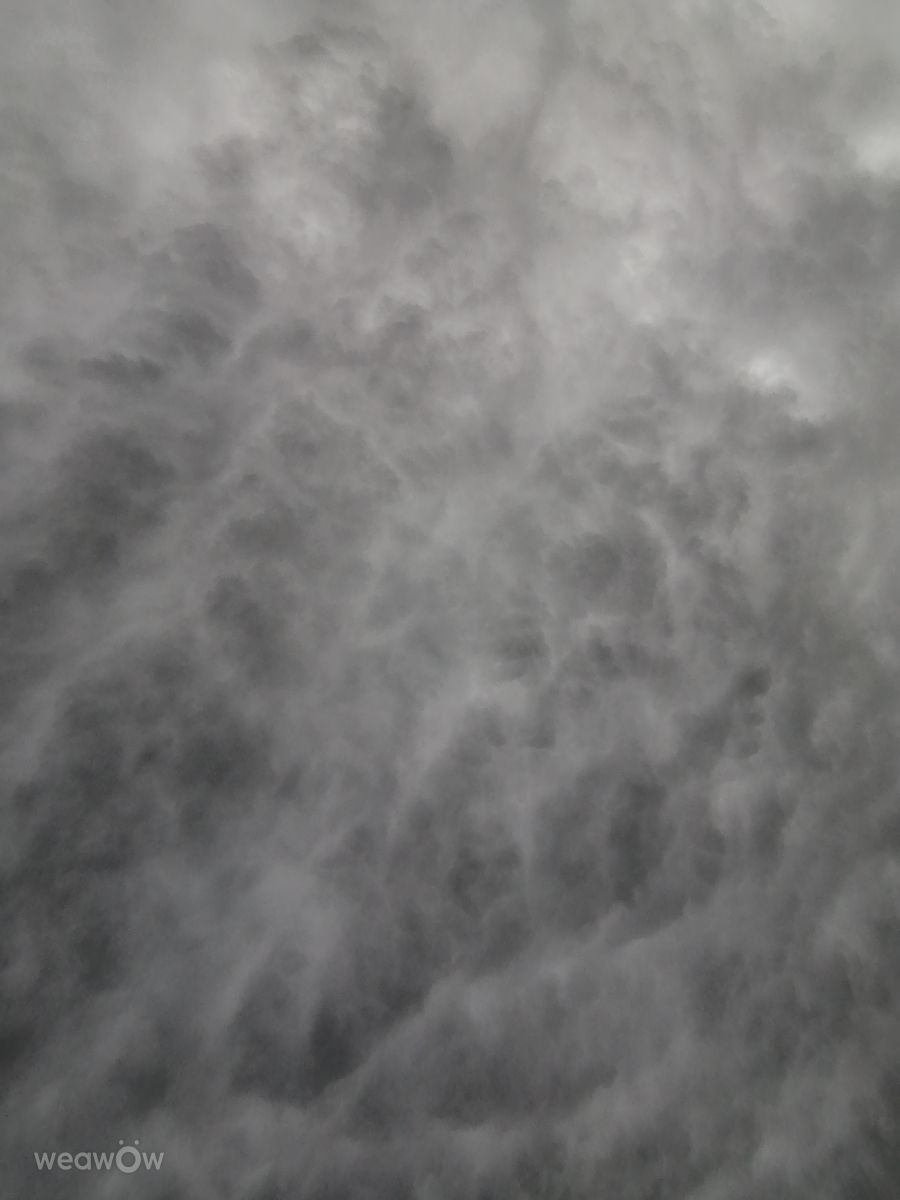 摄影师 Gelimina_lion，Kaliningrad Oblast的天气照片 - Weawow