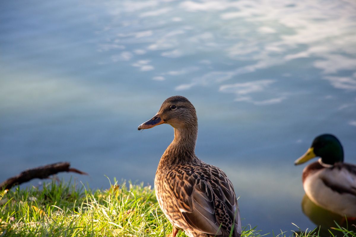 Фотографии Погоды в Калининград. Прогнозы погоды с чудесными фотографиями, сделанными vintilator