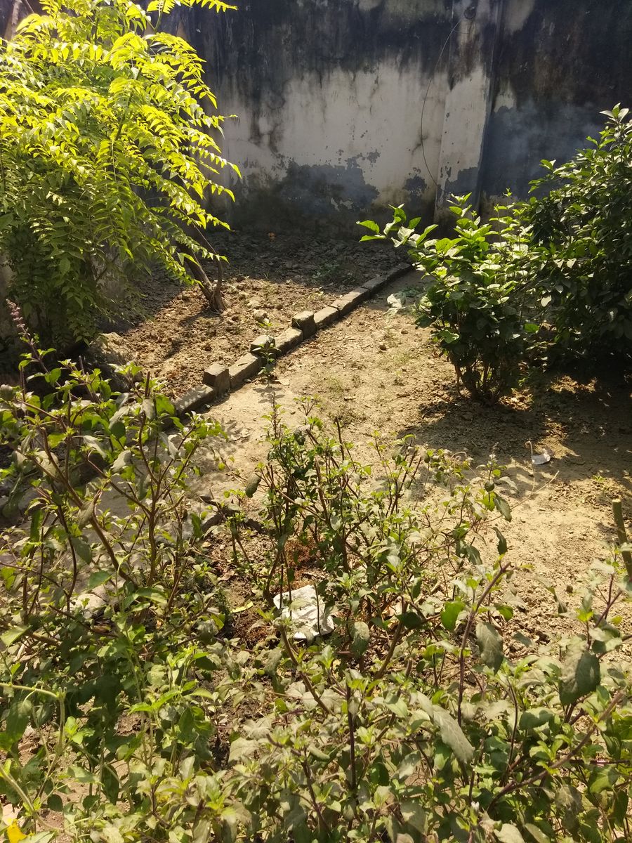 Fotos sobre el clima en Lucknow. Pronósticos del tiempo con hermosas fotos de Mmmbhupi