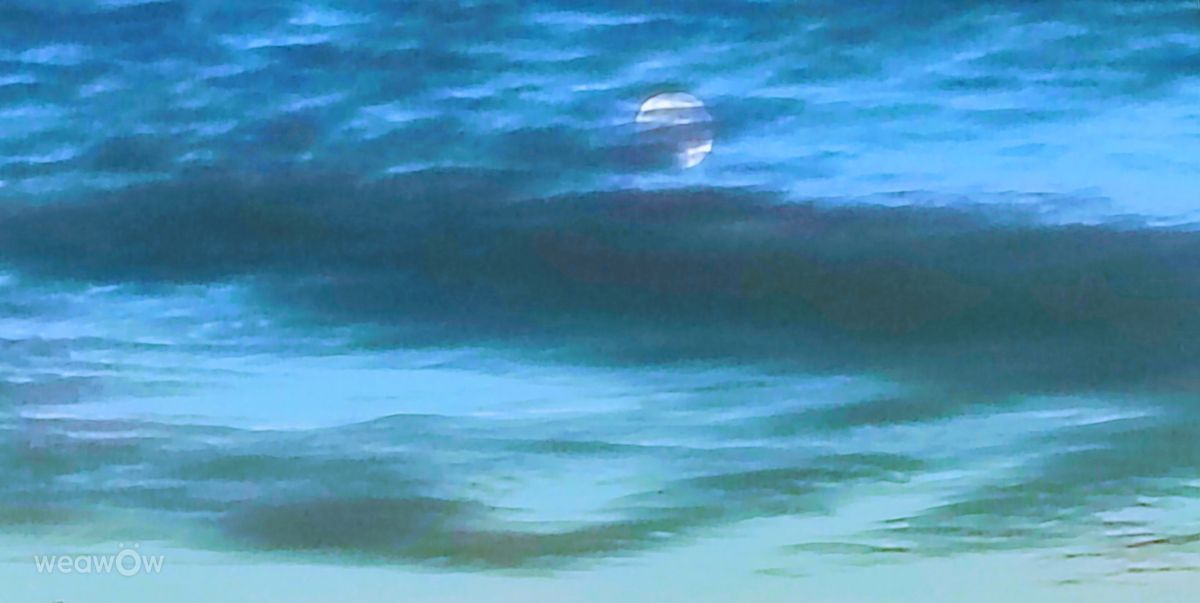 摄影师 Ghostroku，奇科的天气照片 - Weawow