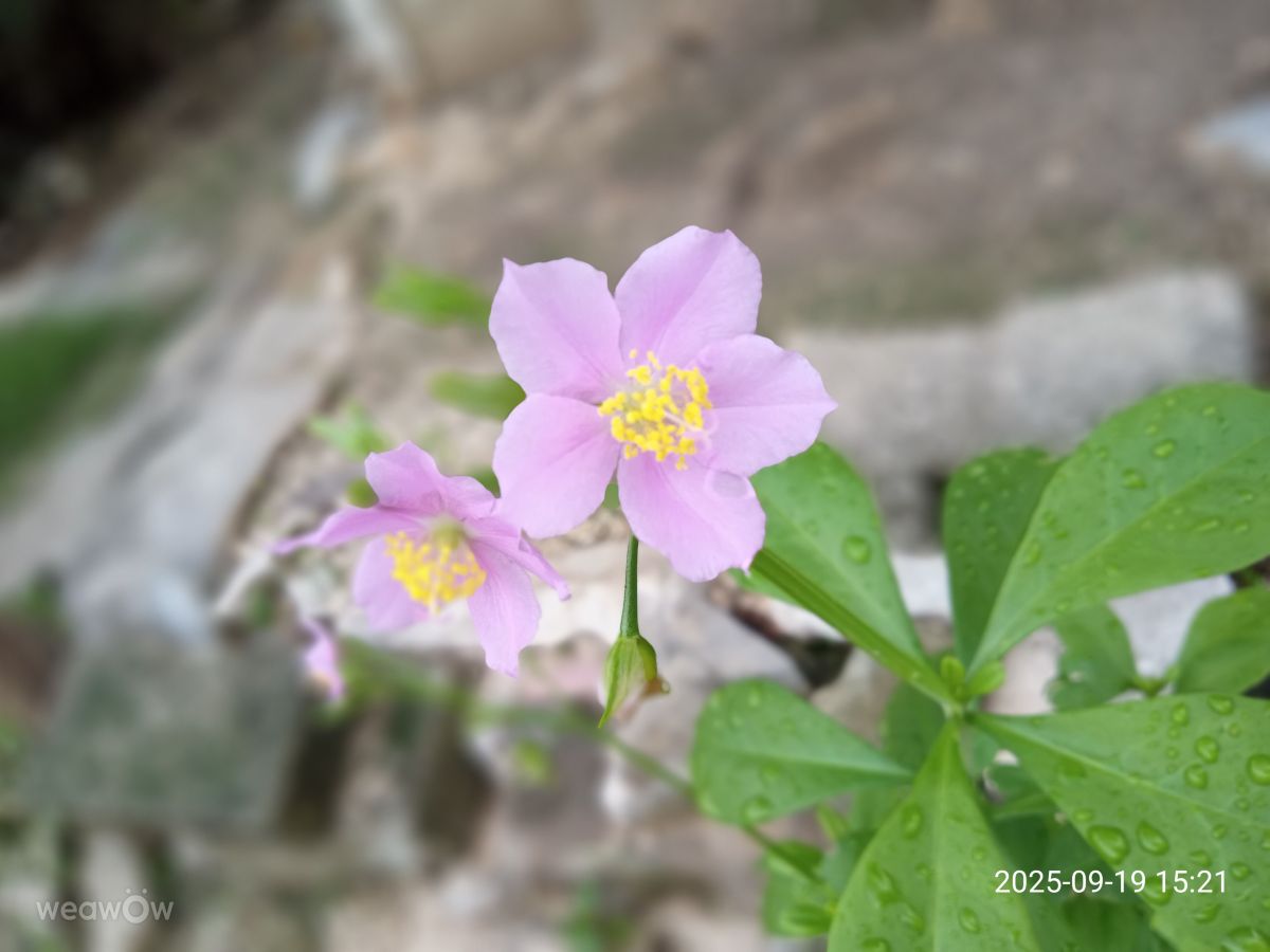 Weather Photos in Cuba. Weather forecasts with beautiful photos by Pablo_Yannier