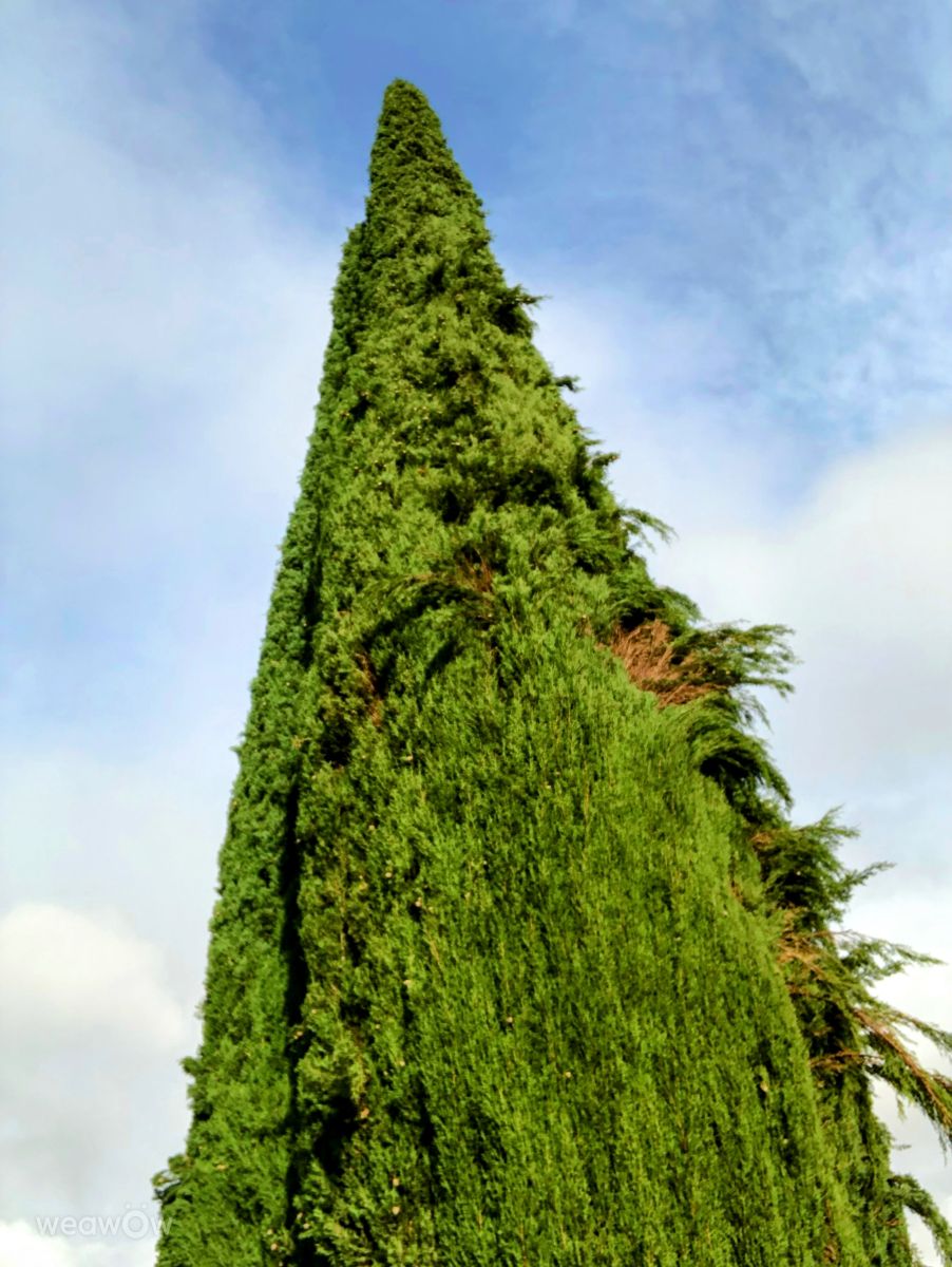 Weather Photos in Madrid. Weather forecasts with beautiful photos by Lulu5523