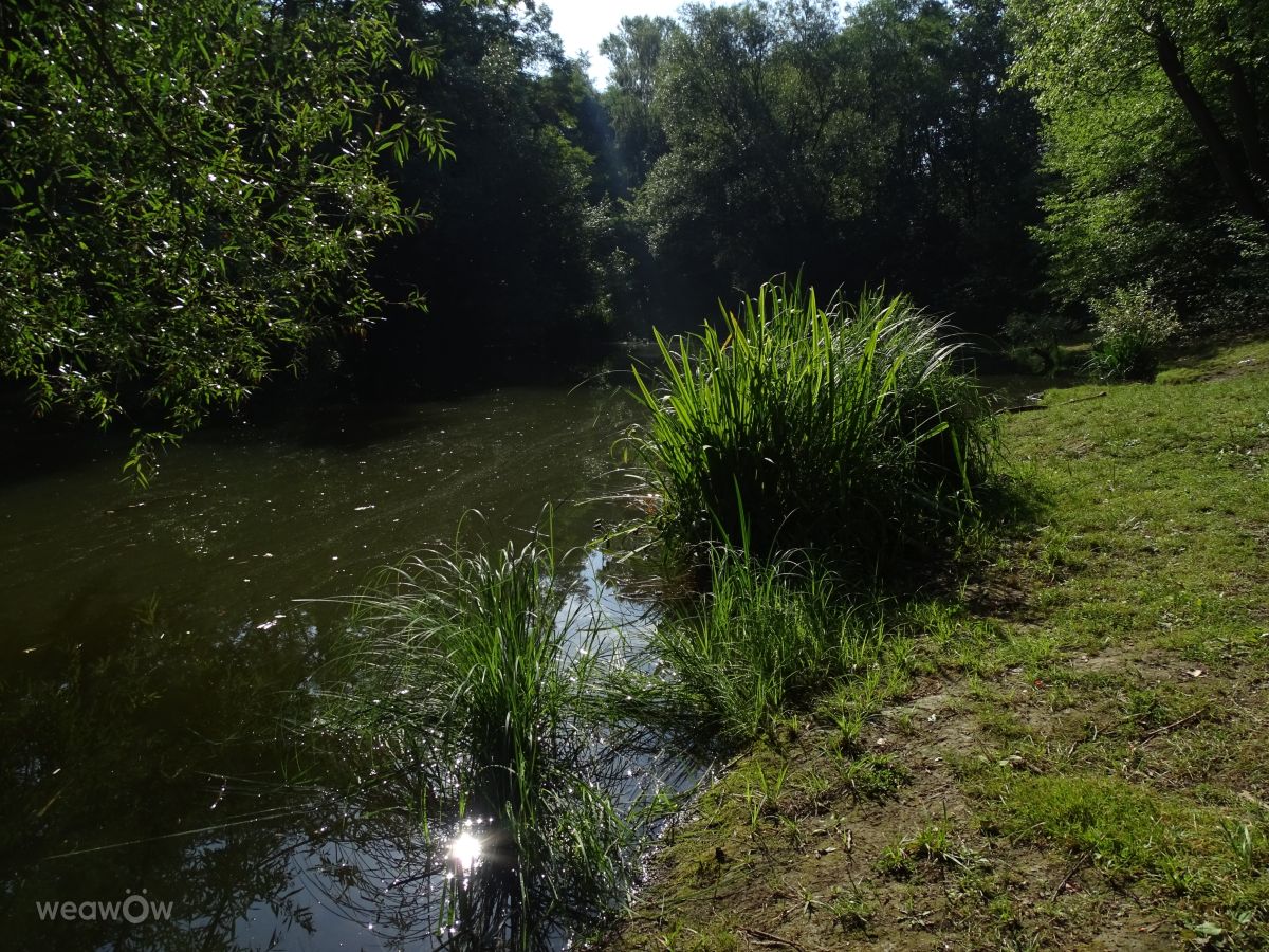 Fotografos Vasek325, Fotos do tempo em Praha 12 - Weawow