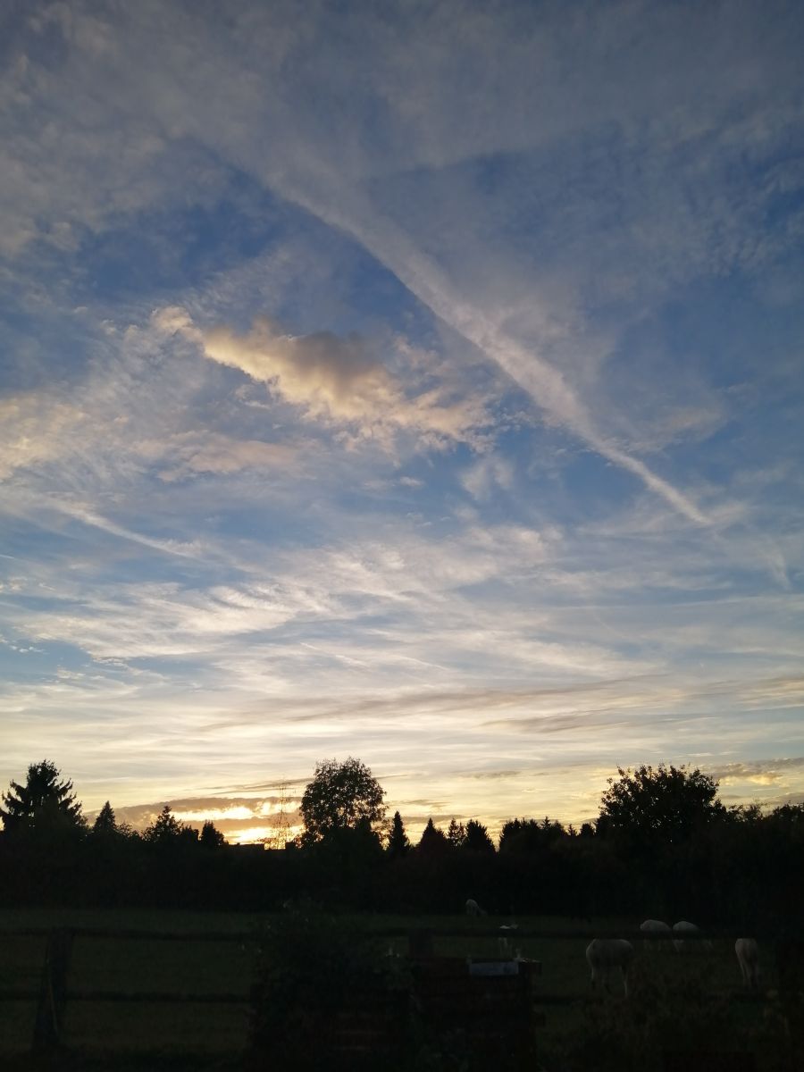 Wettervorhersagen mit schönen Fotos von Schachknappe